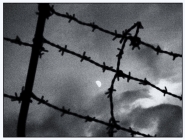caged-moon-a20575857.jpg caged-moon-a20575857.jpg