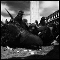 Nome File=Venezia.jpg
Dimensione File=339KB
Dimensioni=800x800
Data aggiunta=Mag 13, 2009 Venezia.jpg