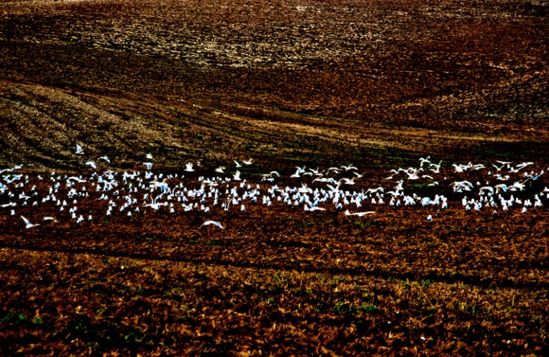 Clicca per l'immagine full size