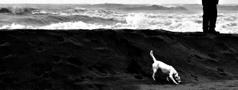 Clicca per l'immagine full size