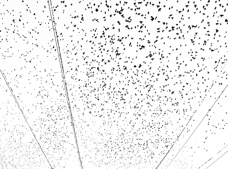 Clicca per l'immagine full size