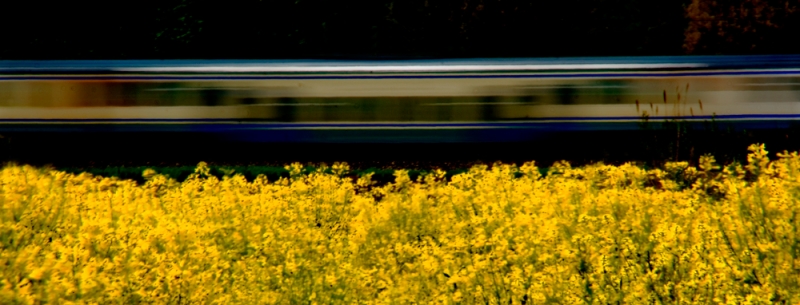 Clicca per l'immagine full size