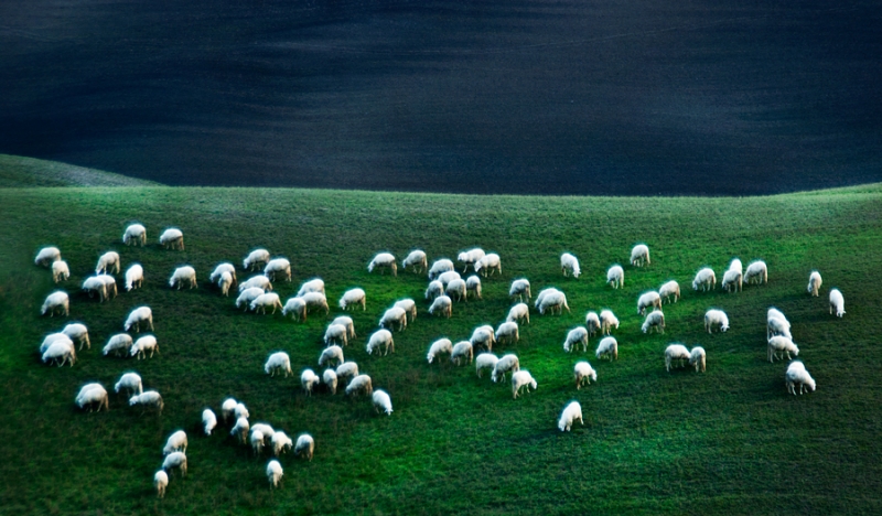 Clicca per l'immagine full size