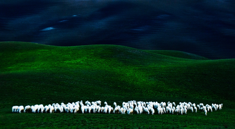Clicca per l'immagine full size