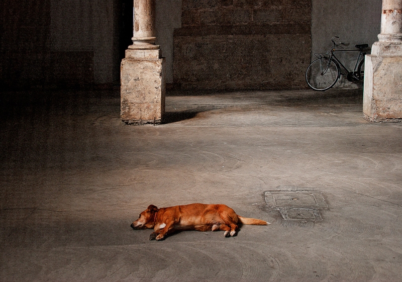 Clicca per l'immagine full size