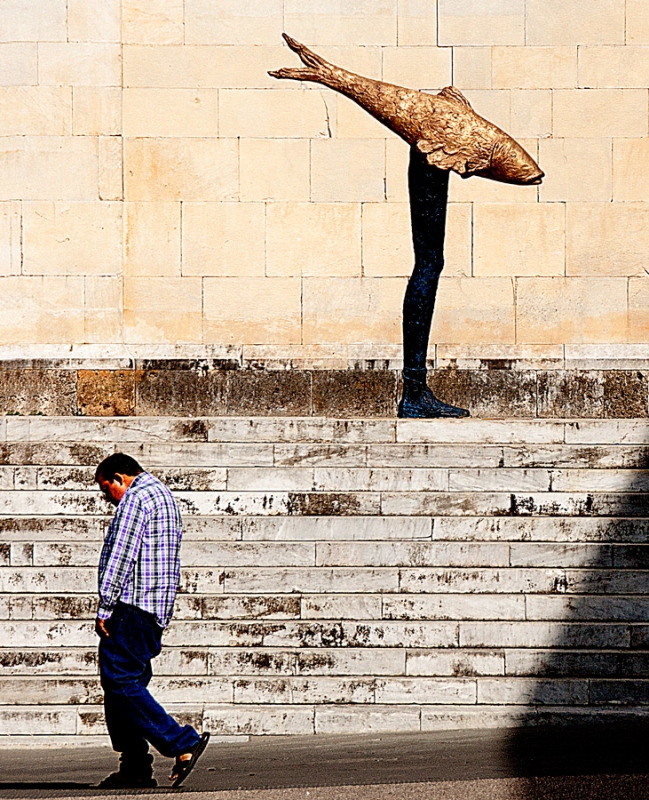 Clicca per l'immagine full size