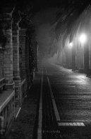 NEBBIA_288.jpg NEBBIA_288.jpg