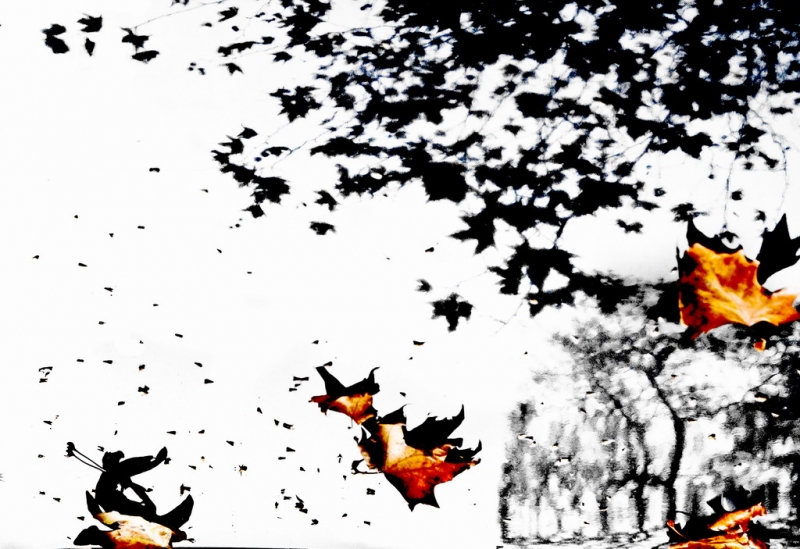 Clicca per l'immagine full size