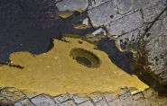 Nome File=web_S_spitiro_Firenze.jpg
Dimensione File=276KB
Dimensioni=1024x658
Data aggiunta=Nov 11, 2010 web_S_spitiro_Firenze.jpg