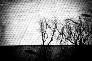Nome File=HK.jpg
Dimensione File=526KB
Dimensioni=950x632
Data aggiunta=Nov 28, 2011 HK.jpg