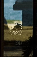Nome File=Riflessi-e-sagome_raddrizzata_corretta_micomosso.gif
Dimensione File=209KB
Dimensioni=504x758
Data aggiunta=Lug 29, 2009 Riflessi-e-sagome_raddrizzata_corretta_micomosso.gif