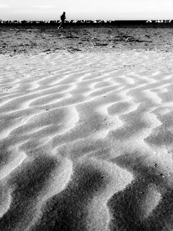 Clicca per l'immagine full size