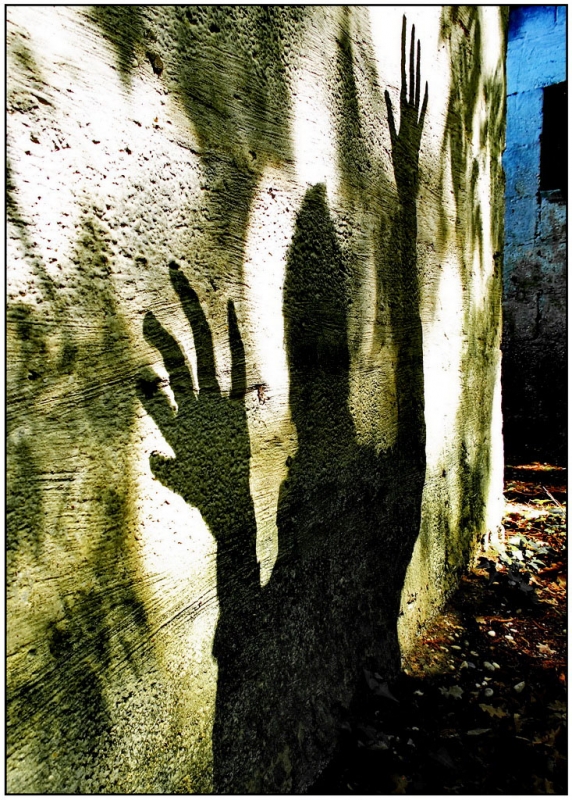 Clicca per l'immagine full size