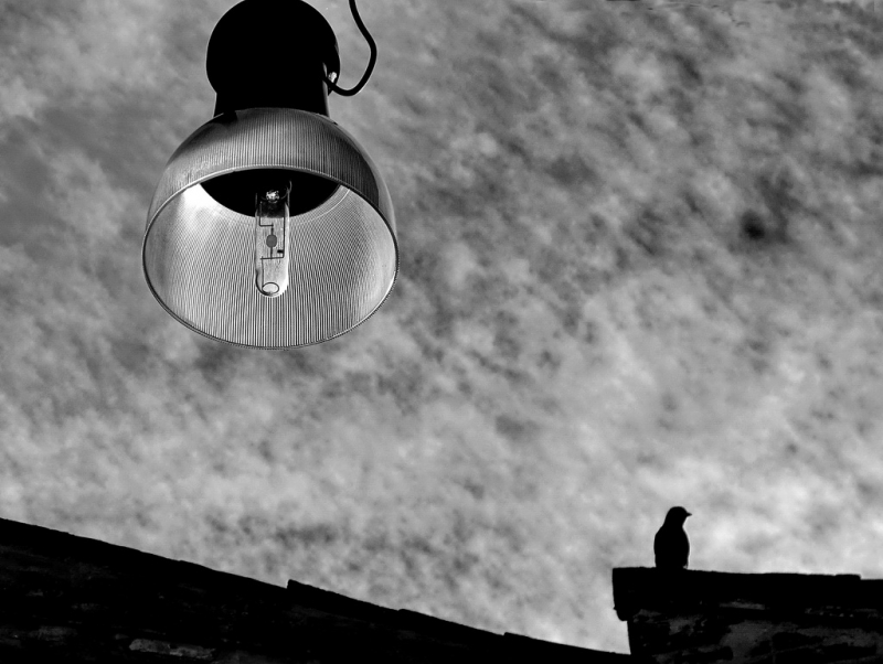 Clicca per l'immagine full size