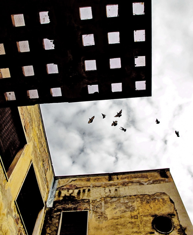 Clicca per l'immagine full size