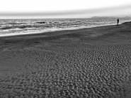 IMG_0083_JPG1.jpg IMG_0083_JPG1.jpg