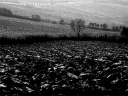 Nome File=giacom4.jpg
Dimensione File=246KB
Dimensioni=800x600
Data aggiunta=Giu 04, 2010 giacom4.jpg