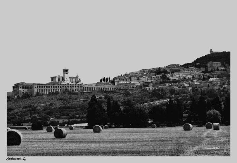 Clicca per l'immagine full size