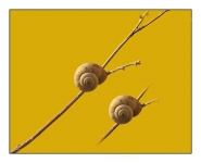 Immagine_023_copia.jpg Immagine_023_copia.jpg