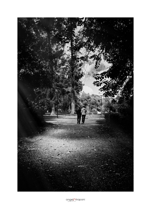 Clicca per l'immagine full size