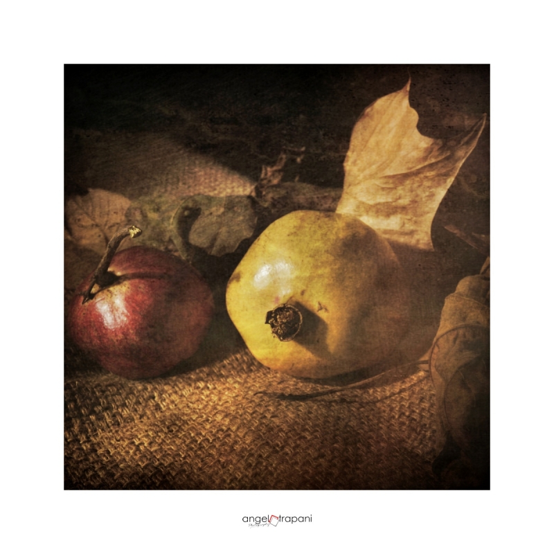 Clicca per l'immagine full size