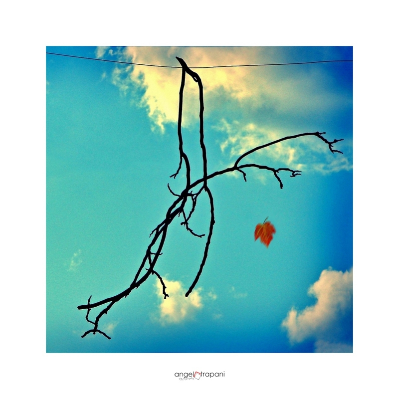 Clicca per l'immagine full size