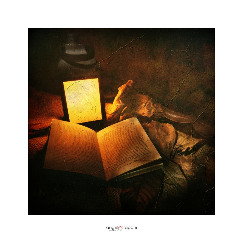 Clicca per l'immagine full size