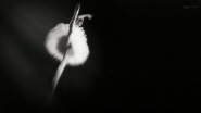 Nome File=Danza.jpg
Dimensione File=110KB
Dimensioni=1200x675
Data aggiunta=Nov 04, 2016 Danza.jpg