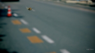 Nome File=Flight_of_the_Bumblebee.jpg
Dimensione File=226KB
Dimensioni=1200x675
Data aggiunta=Dic 20, 2022 Flight_of_the_Bumblebee.jpg