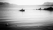 Nome File=Sittin__On_The_Dock_Of_The_Bay.jpg
Dimensione File=325KB
Dimensioni=1200x675
Data aggiunta=Feb 01, 2024 Sittin__On_The_Dock_Of_The_Bay.jpg