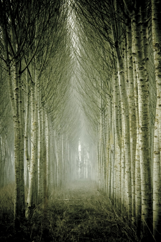 Clicca per l'immagine full size
