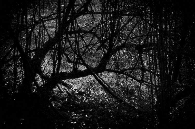 Clicca per l'immagine full size
