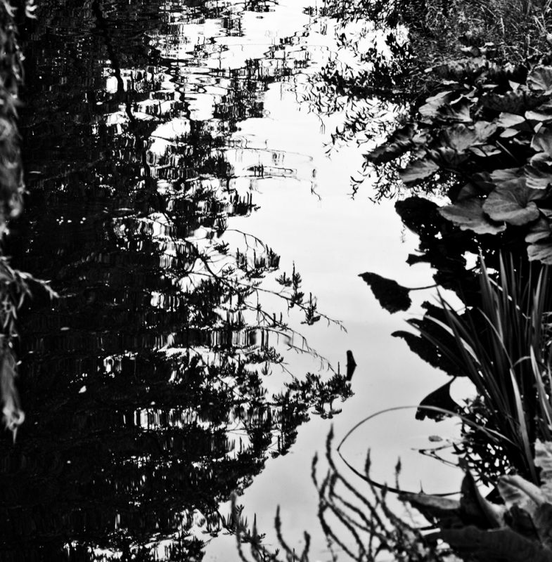 Clicca per l'immagine full size
