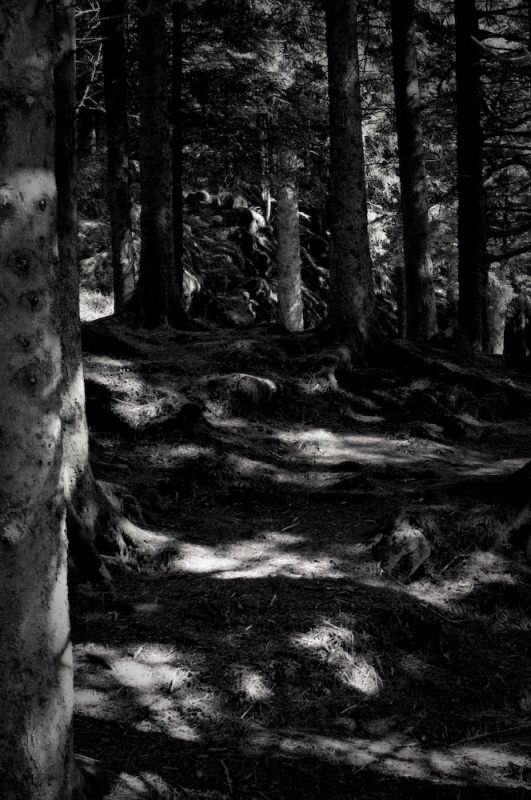 Clicca per l'immagine full size