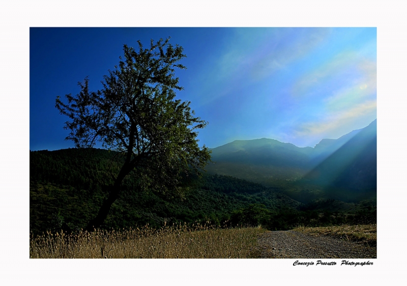 Clicca per l'immagine full size