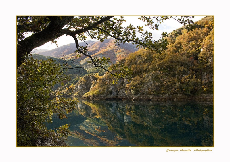 Clicca per l'immagine full size