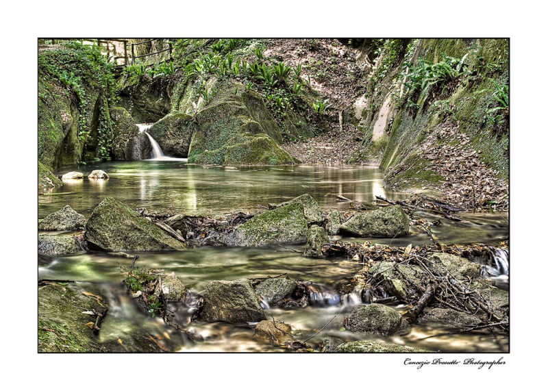 Clicca per l'immagine full size
