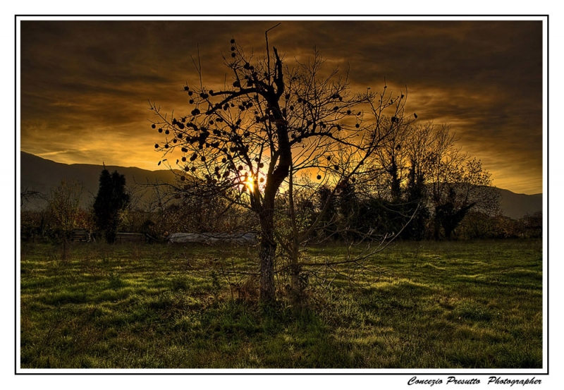 Clicca per l'immagine full size