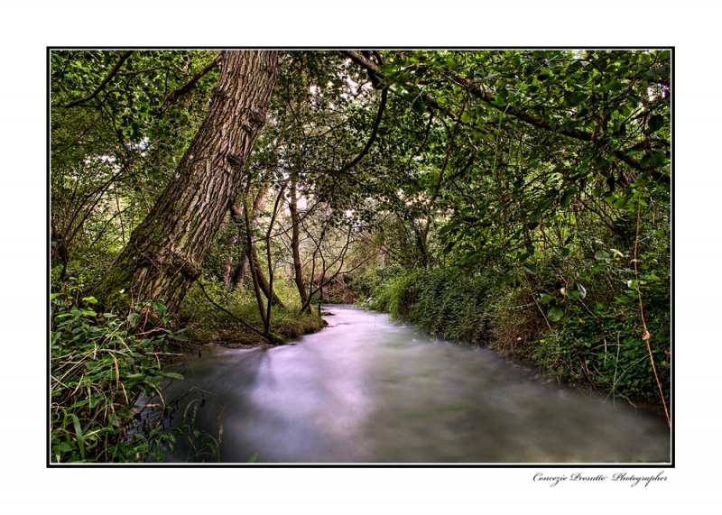 Clicca per l'immagine full size