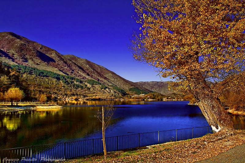 Clicca per l'immagine full size