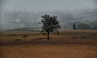 ottobre5.jpg ottobre5.jpg