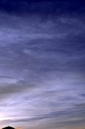 080a_1000.jpg