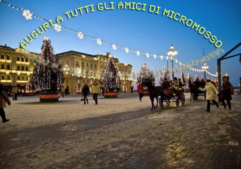 Clicca per l'immagine full size