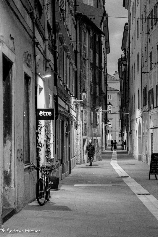 Clicca per l'immagine full size