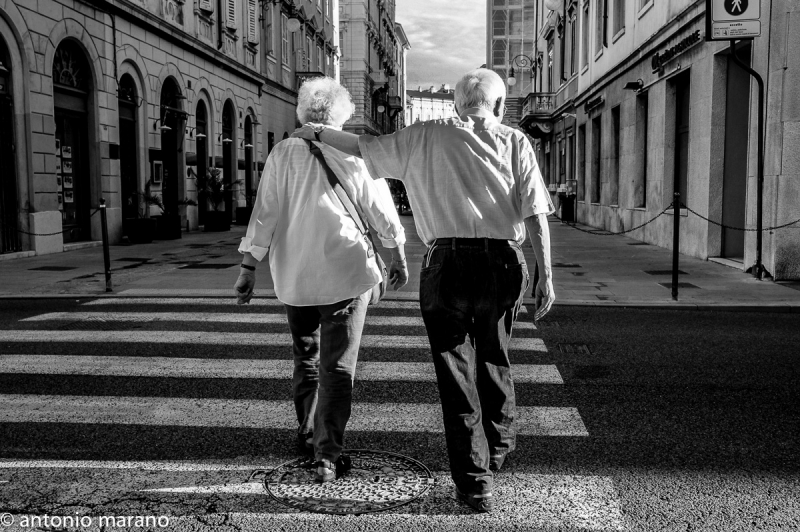 Clicca per l'immagine full size