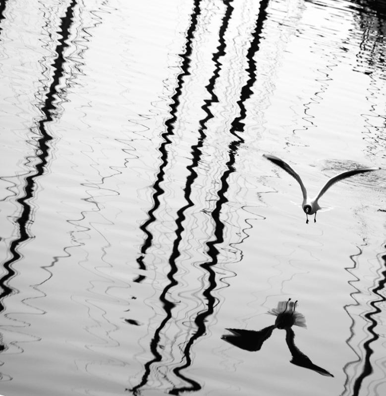 Clicca per l'immagine full size
