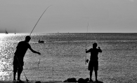 DSC_6907_rid.jpg DSC_6907_rid.jpg