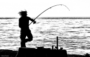 PESCATOREbb.jpg