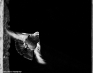 Nome File=VOLO.jpg
Dimensione File=360KB
Dimensioni=1024x805
Data aggiunta=Mar 06, 2012 VOLO.jpg