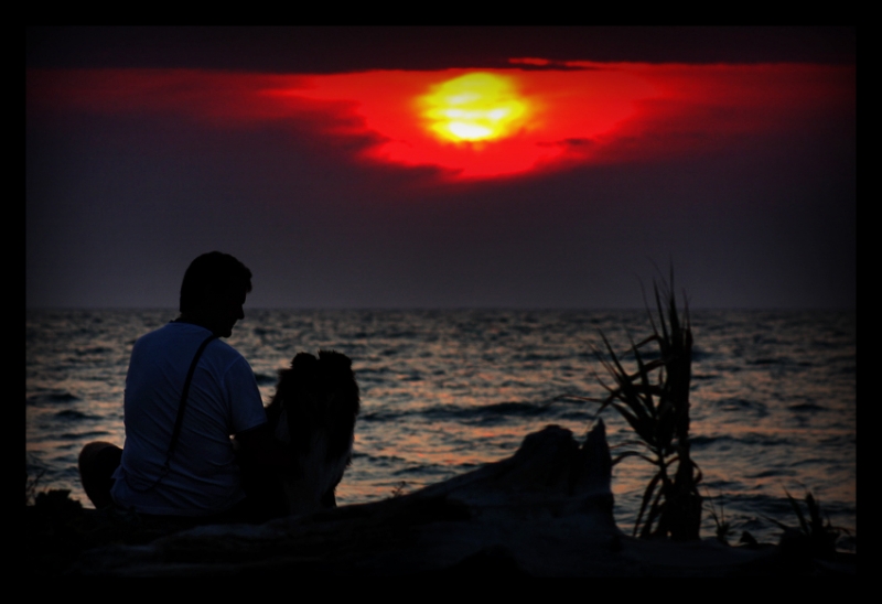 Clicca per l'immagine full size
